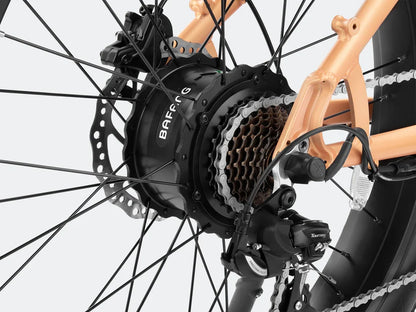 Rover Step-Thru Electric Bike – Comfortable Fat Tire Ebike