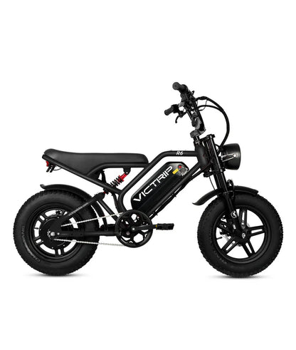 VICTRIP R6 Off Road Ebike | 1000W Peak Fat Tire