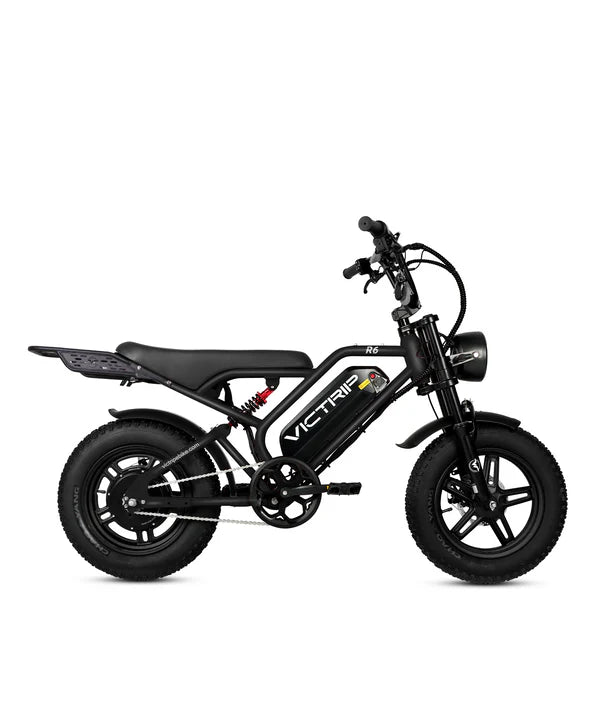 VICTRIP R6 Off Road Ebike | 1000W Peak Fat Tire