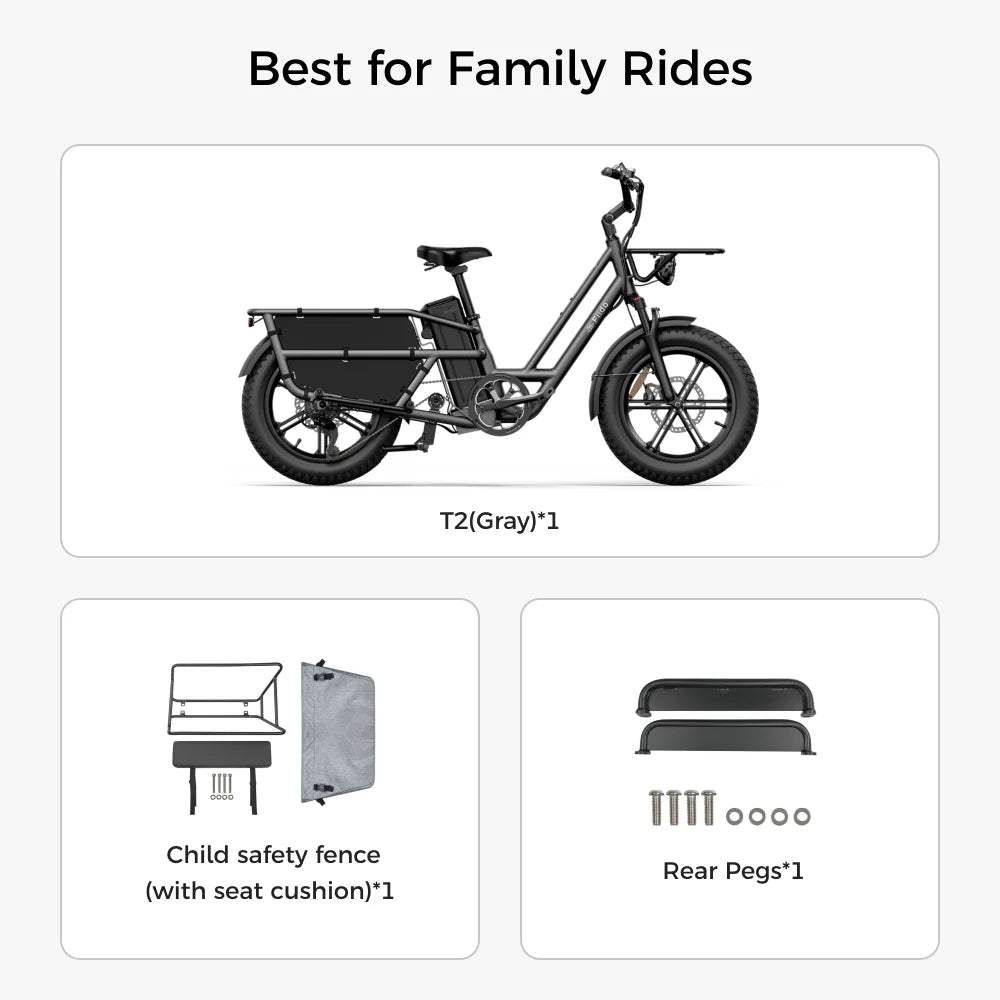Fiido T2  2024 Longtail Cargo E-bike