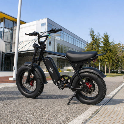 Freego Maxx M3 electric bike image 4