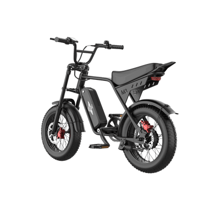 Freego Maxx M3 electric bike image 10