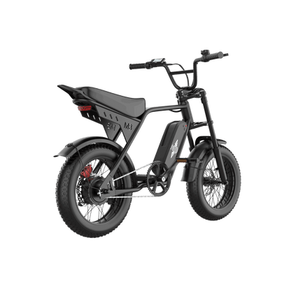 Freego Maxx M3 electric bike image 11