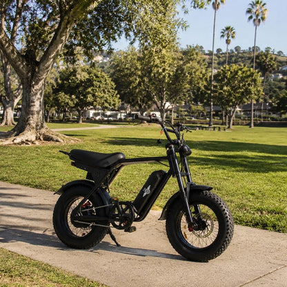 Freego Maxx M3 electric bike image 5