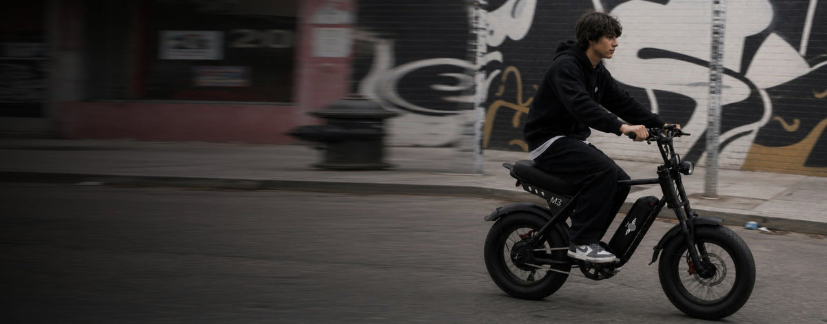 Freego Maxx M3 electric bike image 12