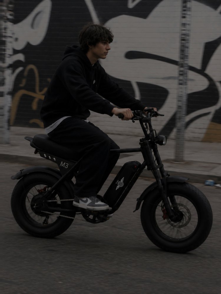 Freego Maxx M3 electric bike image 13