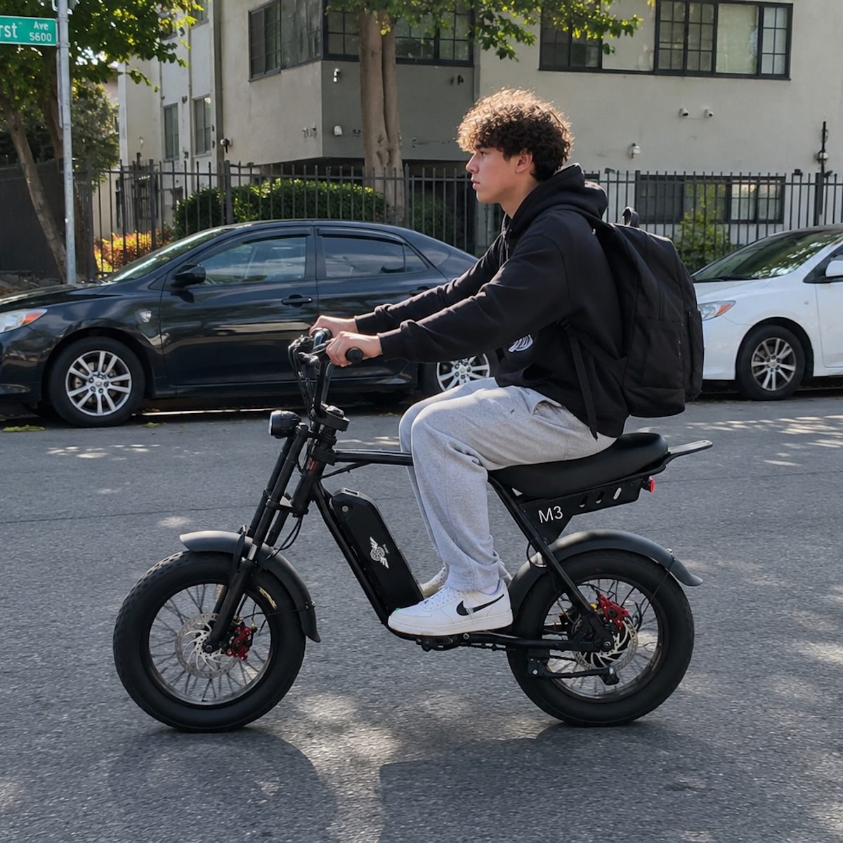 Freego Maxx M3 electric bike image 3