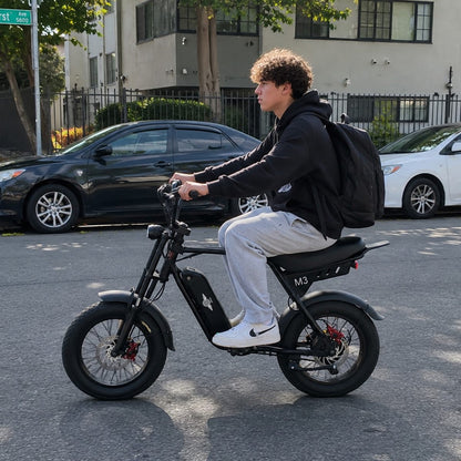 Freego Maxx M3 electric bike image 3
