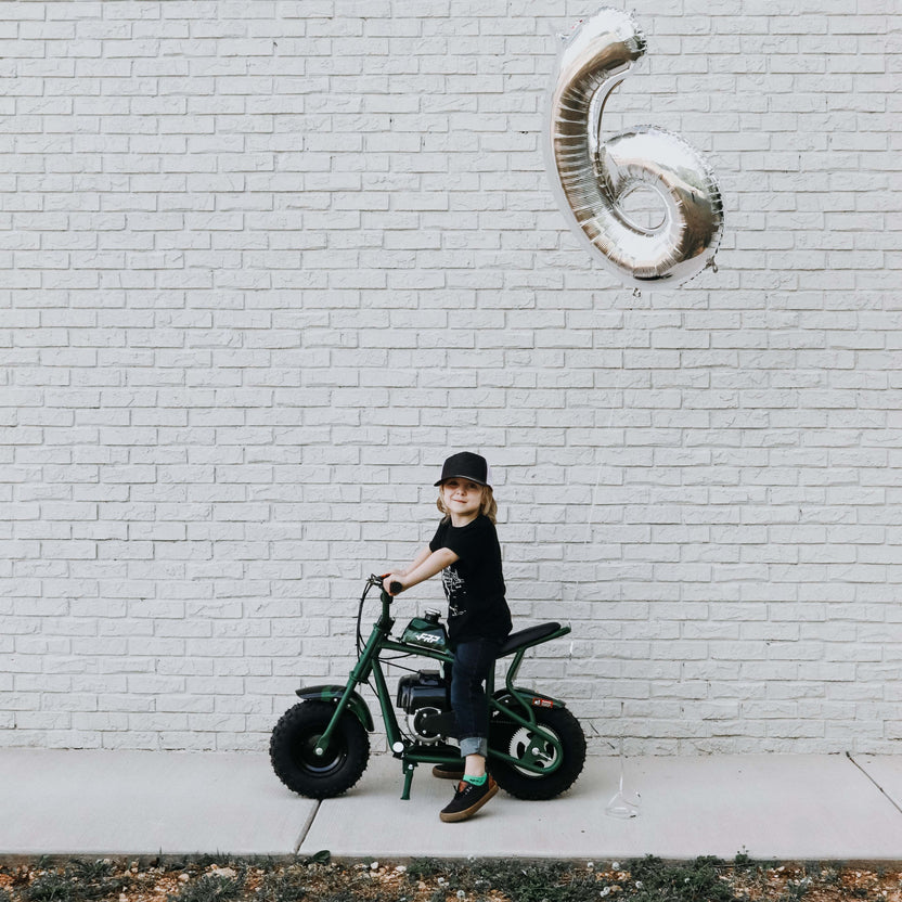frp mini bike