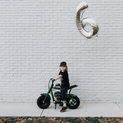 frp mini bike