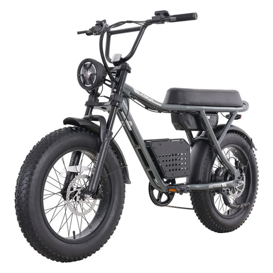 GOTRAX Ranger Electric Bike
