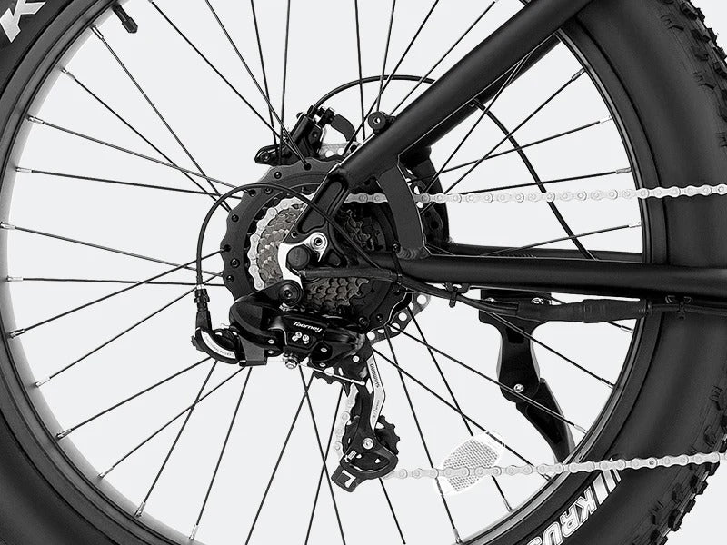 Velowave Ranger Fat Tire Electric Bike 750W