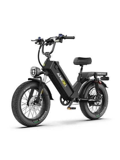 ANIIOKI AQ177 Pro Max Long Range Electric Bike