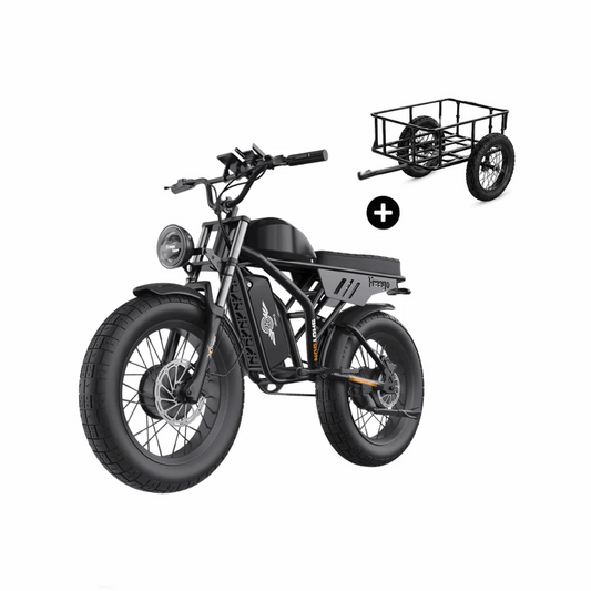 Freego Flash F3 Pro Dual Motor and Battery eBike