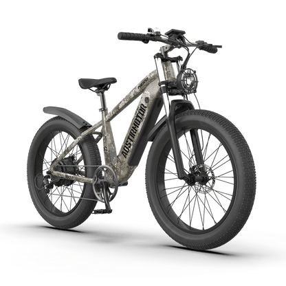 Aostirmotor Off-road Electric Bike Hero|1000w motor|52v20ah|Torque-85N.N