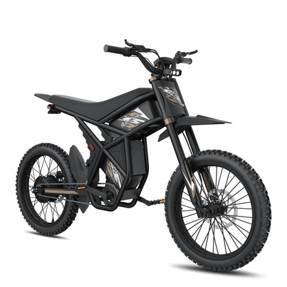 GT73 Pro Riding Times Electric Motorbike