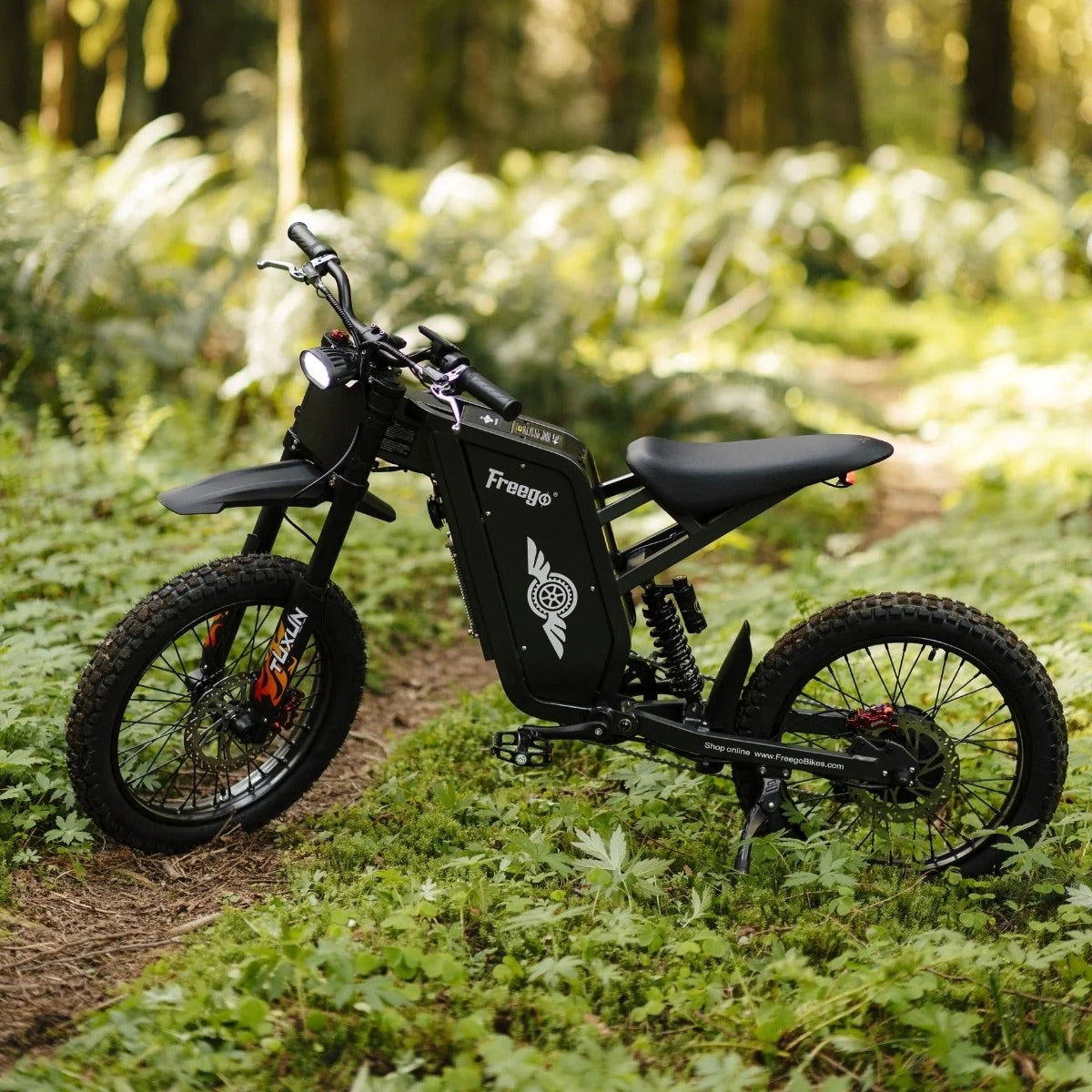 Freego X1 Electric Dirt Bike | 1500W Motor, 60V 25Ah Battery, 37 MPH