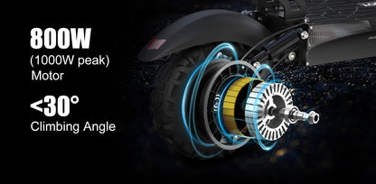 Nanrobot T1 800 W brushless motor | 48 V 10.4 Ah lithium battery | 21–25 miles | Top speed 25 mph