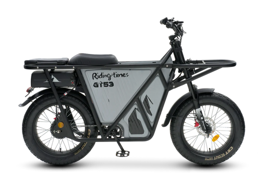 Ridert GT53 Cargo eBike