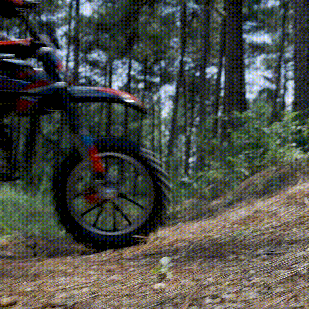 FRPMOTO FX40-Ogemaw Gas Dirt Bike FRP