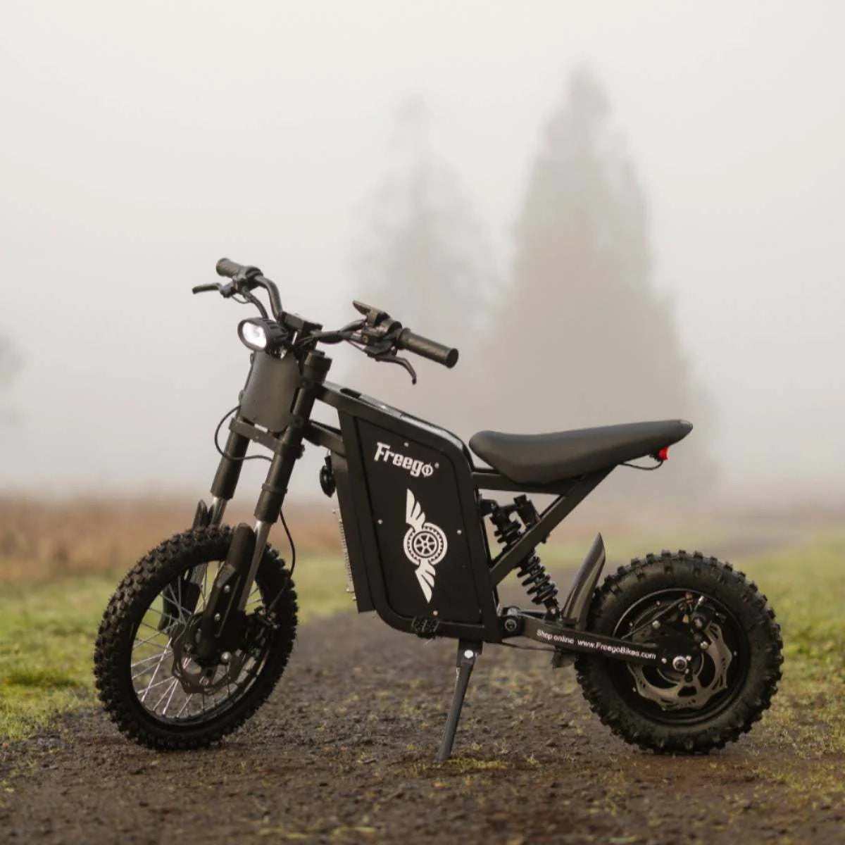 Freego X0 Electric Mini Bike | 3600W Peak Motor, 60V 23Ah Battery, 40 MPH Top Speed