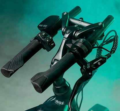 Fiido Q2 Dual Drive Foldable Electric Scooter – Powerful Dual Motor Ride