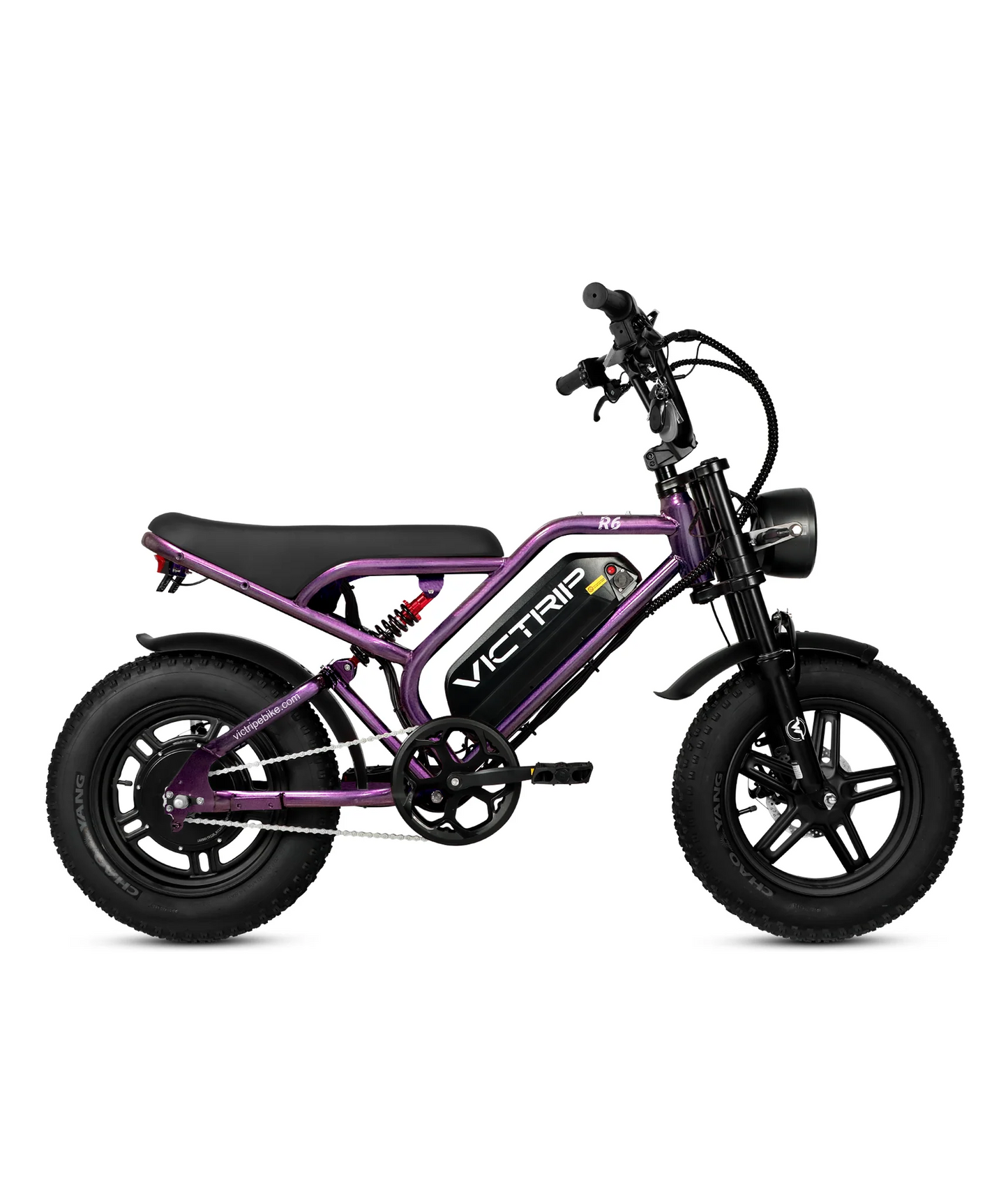 VICTRIP R6 Off Road Ebike | 1000W Peak Fat Tire