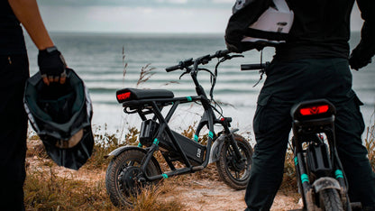 Fiido Q2 Dual Drive Foldable Electric Scooter – Powerful Dual Motor Ride