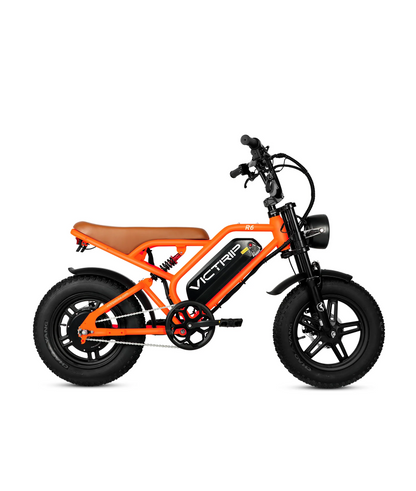 VICTRIP R6 Off Road Ebike | 1000W Peak Fat Tire