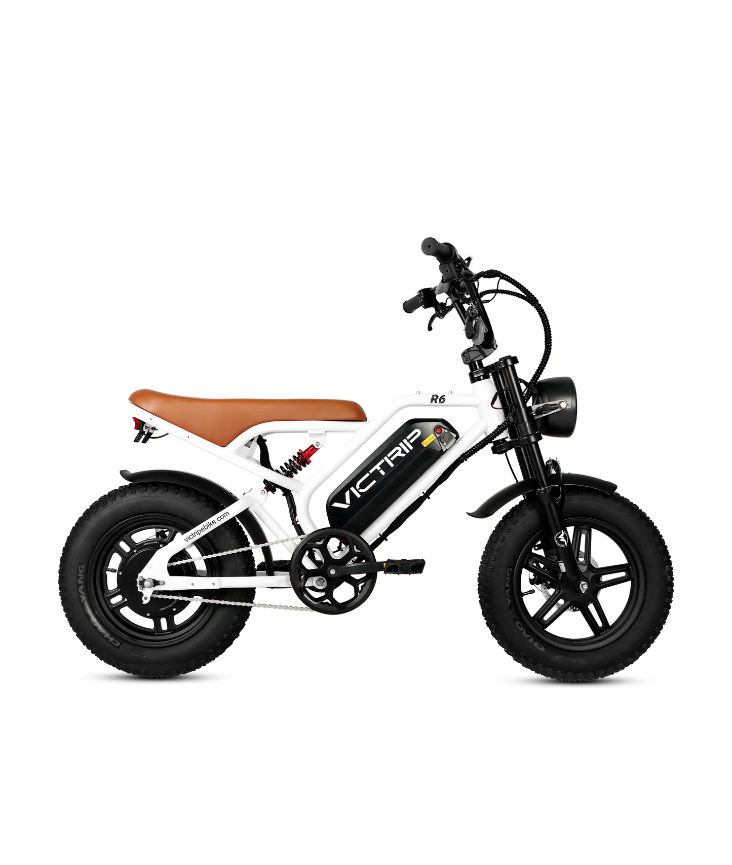 VICTRIP R6 Off Road Ebike | 1000W Peak Fat Tire