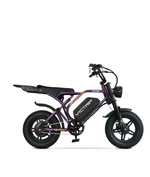 VICTRIP®R6  Pro- 1500W Full Suspension Moped Style EBike