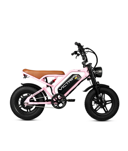 VICTRIP R6 Off Road Ebike | 1000W Peak Fat Tire