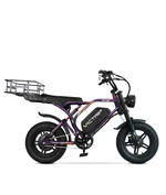 VICTRIP®R6  Pro- 1500W Full Suspension Moped Style EBike