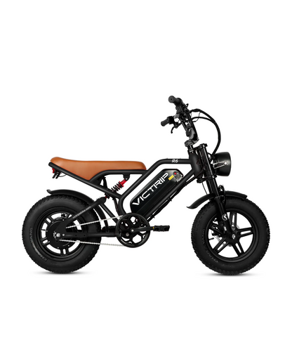 VICTRIP R6 Off Road Ebike | 1000W Peak Fat Tire