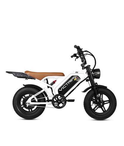 VICTRIP R6 Off Road Ebike | 1000W Peak Fat Tire