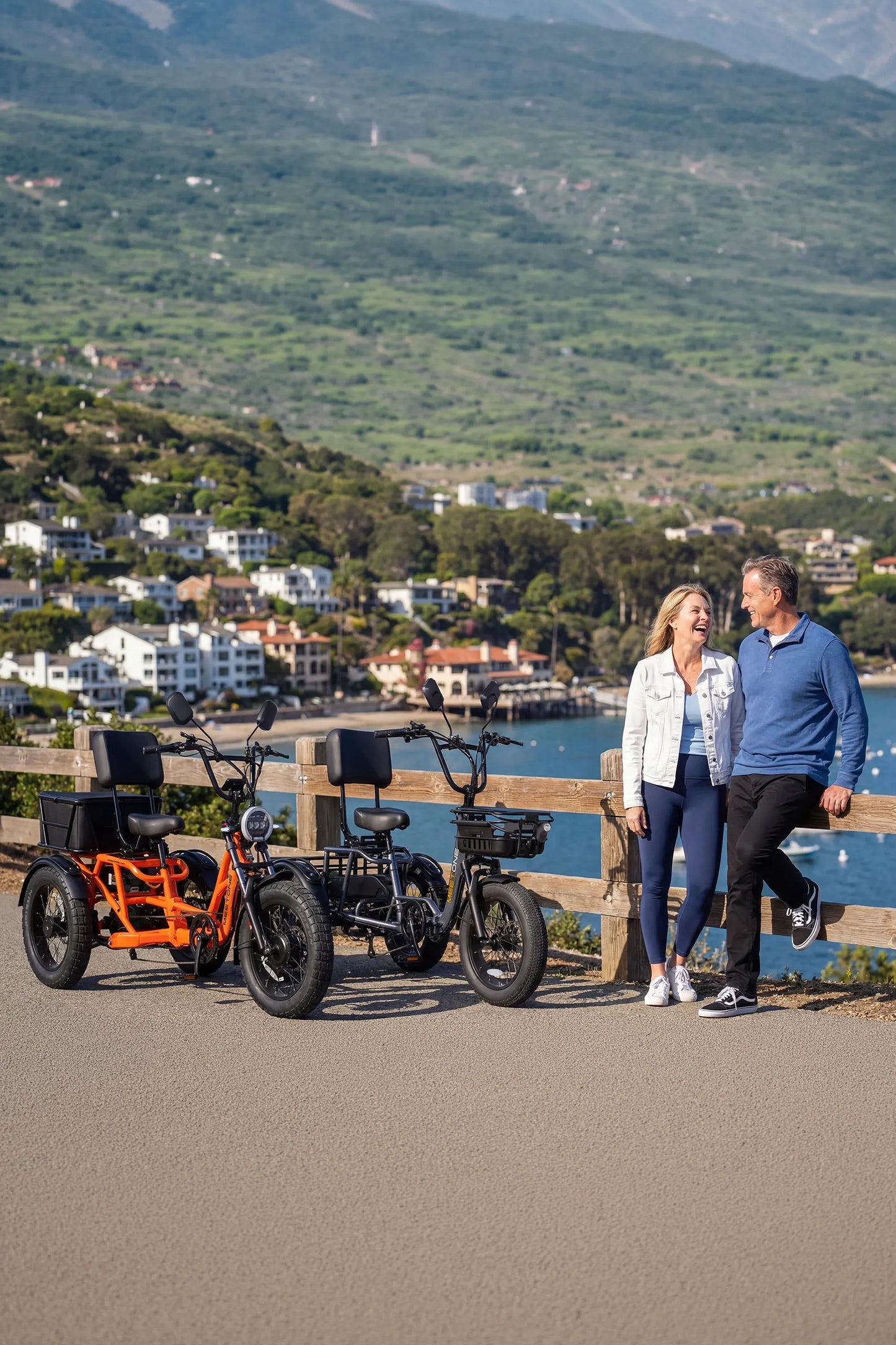 Meet One Breeze Pro 2.0 Electric Trike|Full Suspension Fat Tire E-Trike