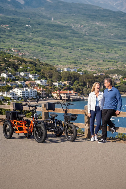 Meet One Breeze Pro 2.0 Electric Trike|Full Suspension Fat Tire E-Trike