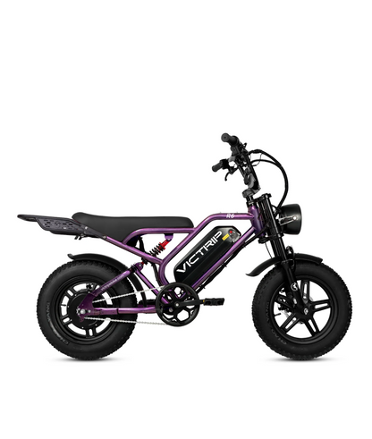 VICTRIP R6 Off Road Ebike | 1000W Peak Fat Tire