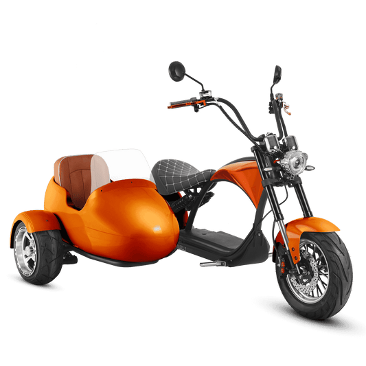 Eahora M1P + Sidecar