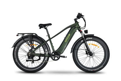 Oiios Powa Ebike UL Certified All Terrain Fat Tire Ebike