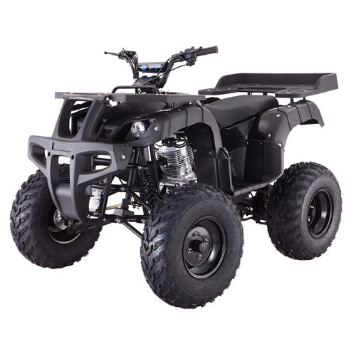 Tao Motor 250 Rhino Adult ATV