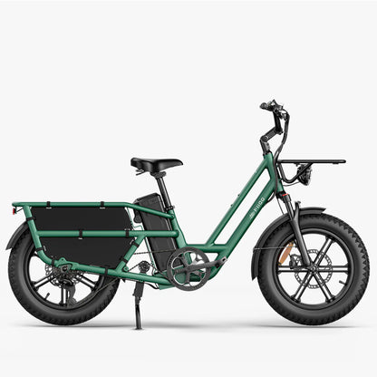 Fiido T1 Pro Utility Electric Bike | 750W Cargo E-Bike
